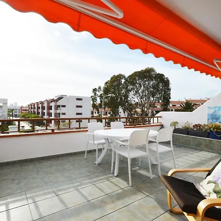 Primavera Playa de las Americas (Tenerife)